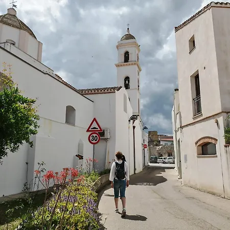 Marte * Àrbatax