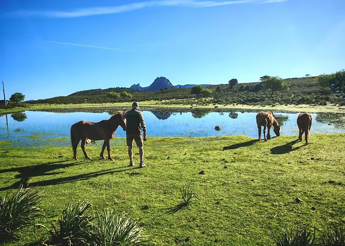 Marte * 阿尔巴塔克斯