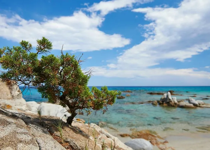 Marte 公寓 阿尔巴塔克斯