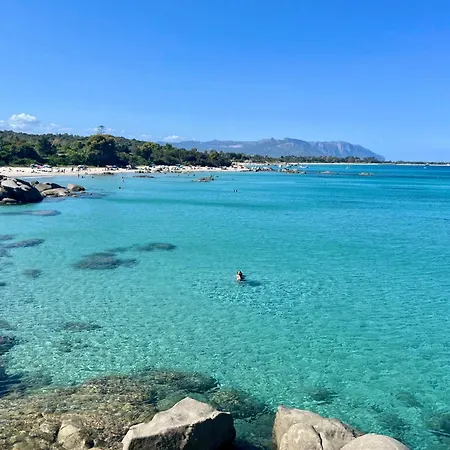 Marte Àrbatax