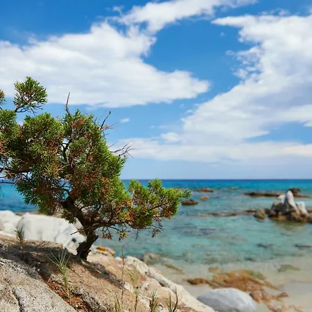 Marte Apartman Àrbatax