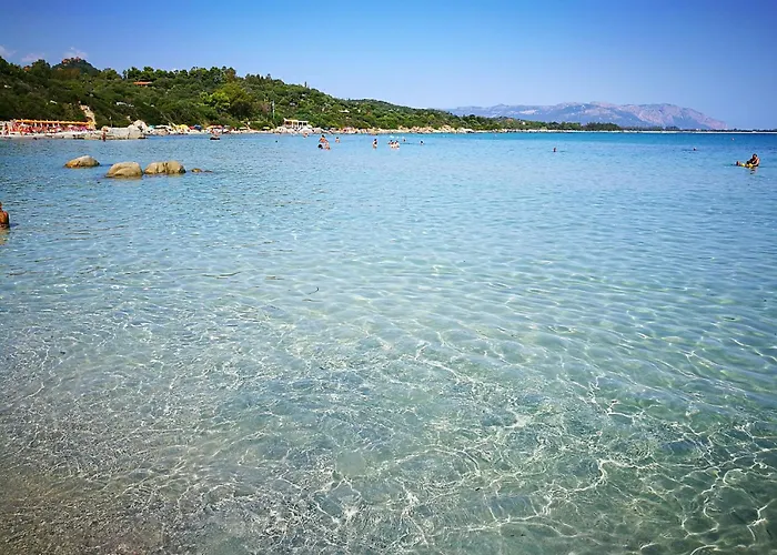 Marte Daire Àrbatax