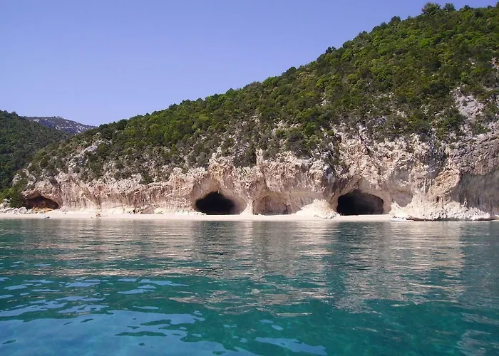 Daire Marte Àrbatax